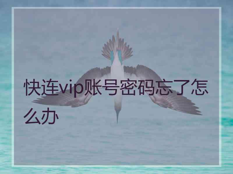 快连vip账号密码忘了怎么办