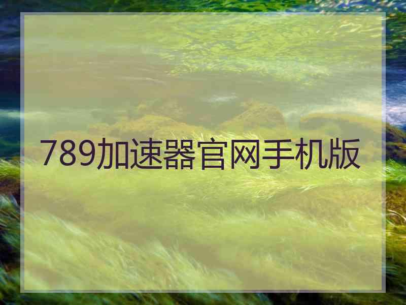 789加速器官网手机版