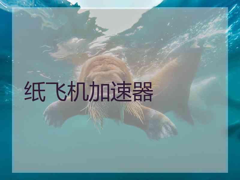 纸飞机加速器