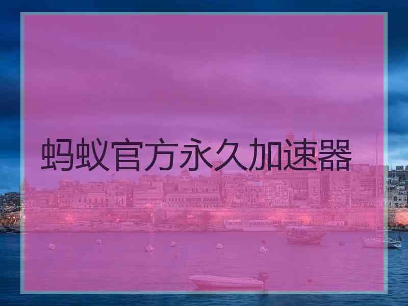 蚂蚁官方永久加速器