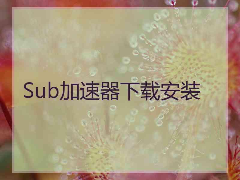 Sub加速器下载安装