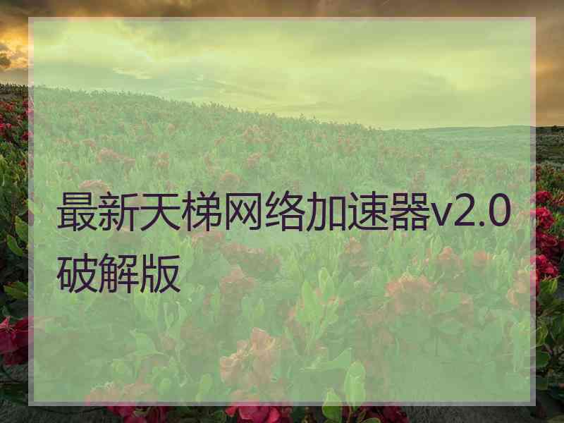 最新天梯网络加速器v2.0破解版