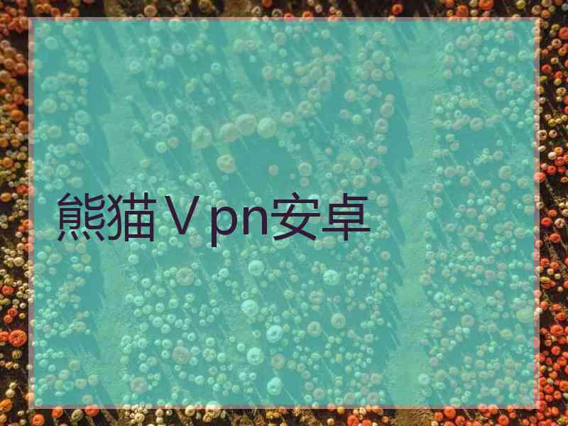 熊猫Ⅴpn安卓