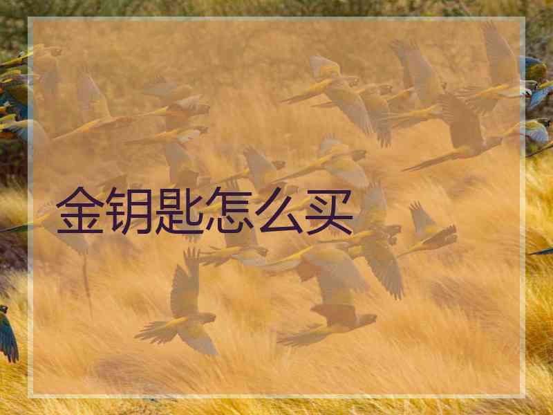 金钥匙怎么买