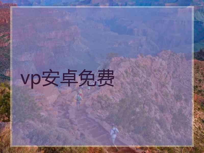 vp安卓免费