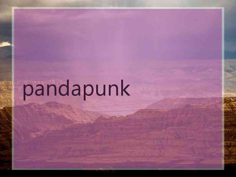 pandapunk