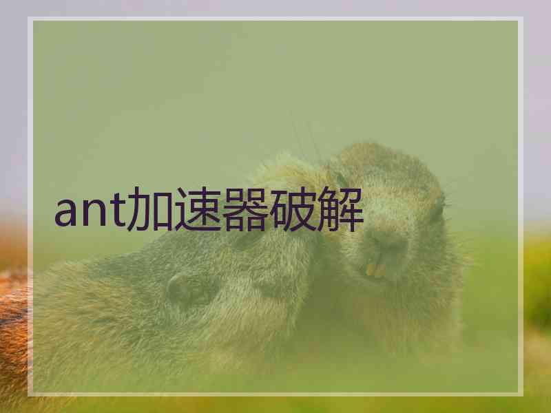 ant加速器破解
