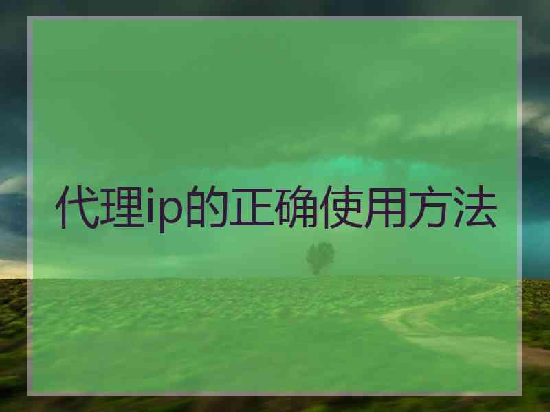 代理ip的正确使用方法