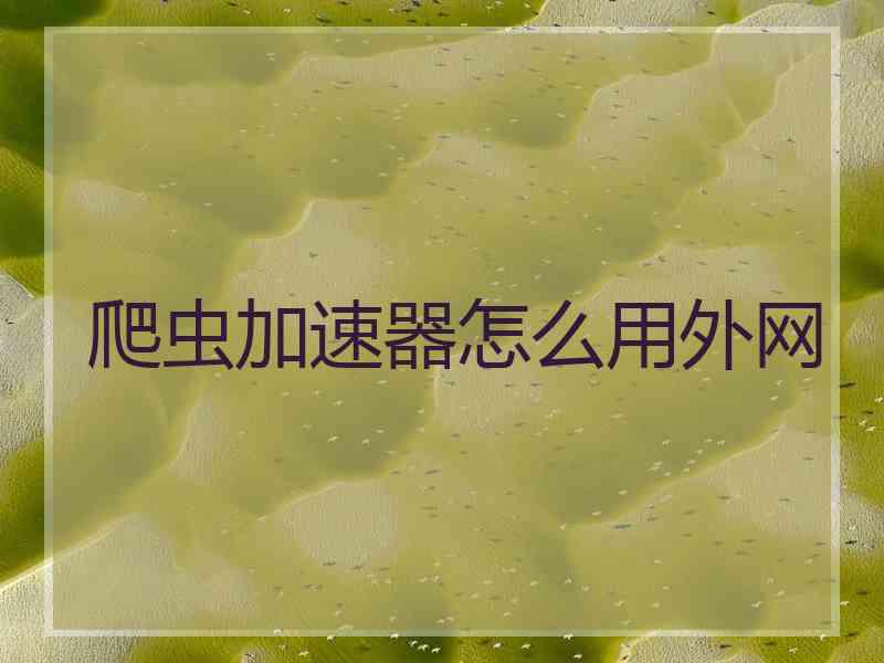爬虫加速器怎么用外网