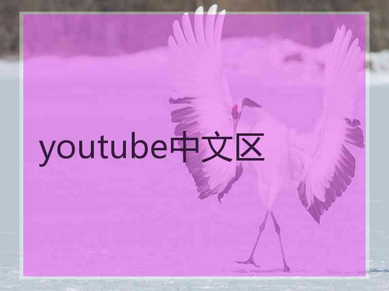 youtube中文区