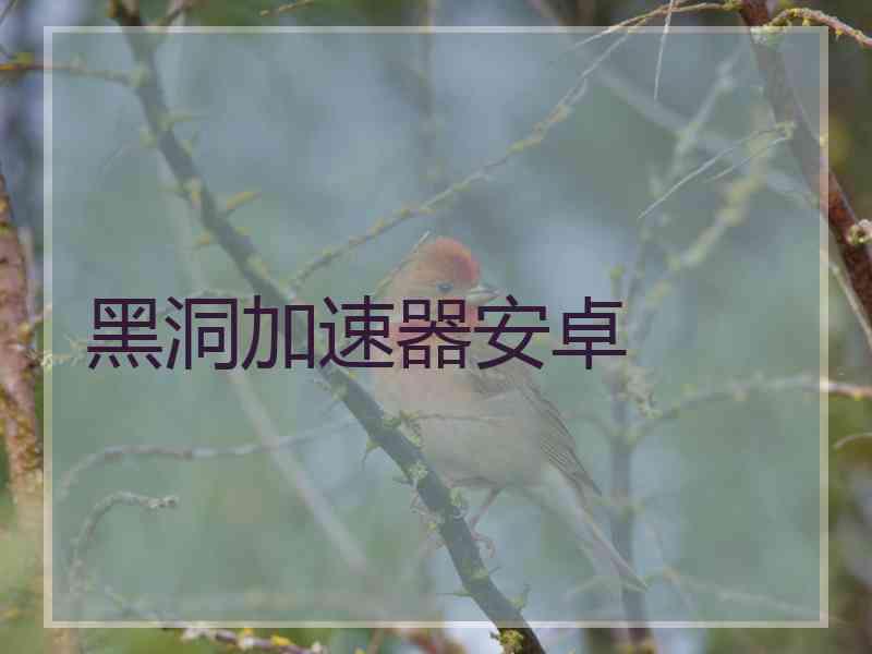 黑洞加速器安卓