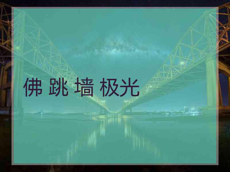 佛 跳 墙 极光