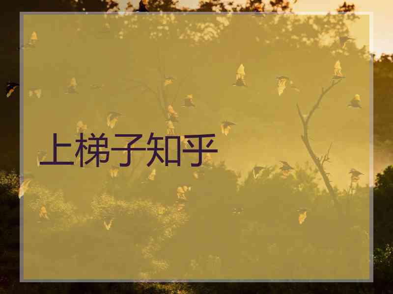 上梯子知乎