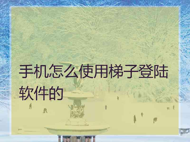 手机怎么使用梯子登陆软件的