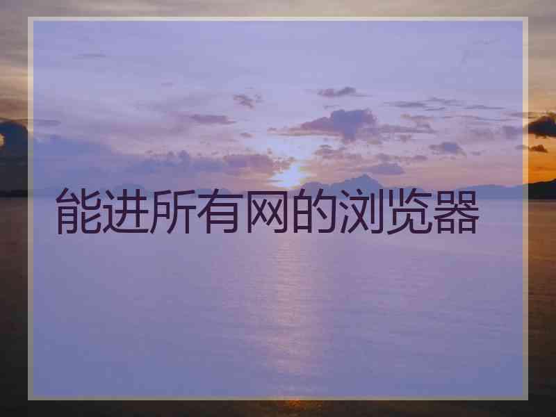 能进所有网的浏览器