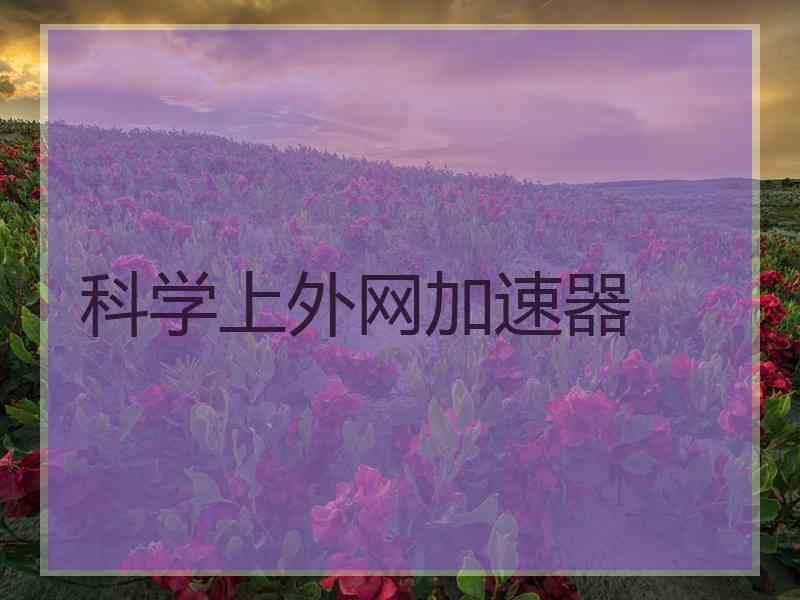 科学上外网加速器