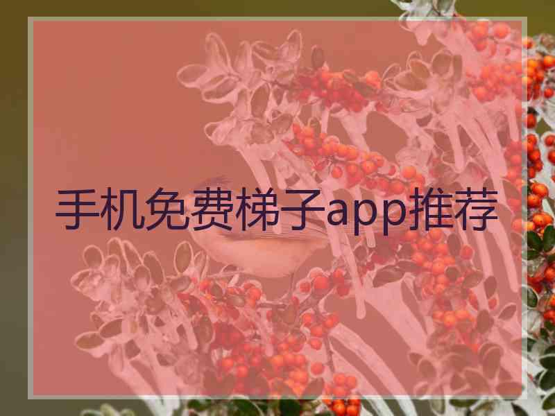 手机免费梯子app推荐