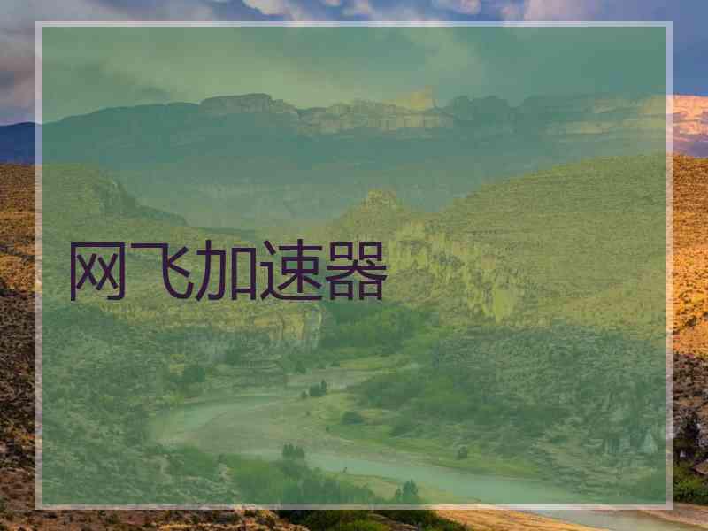 网飞加速器