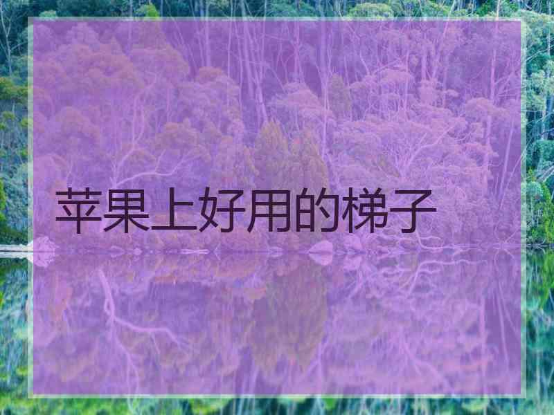 苹果上好用的梯子