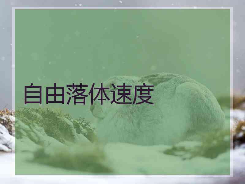 自由落体速度