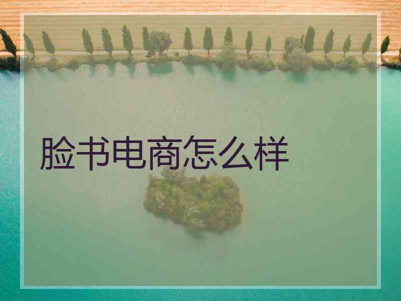 脸书电商怎么样