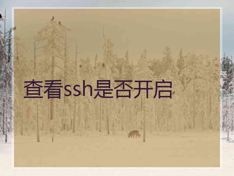 查看ssh是否开启