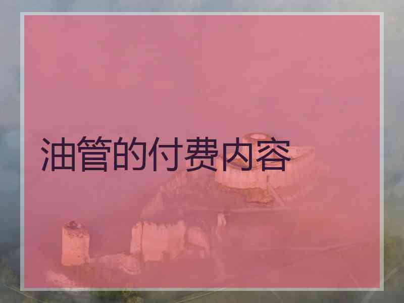 油管的付费内容
