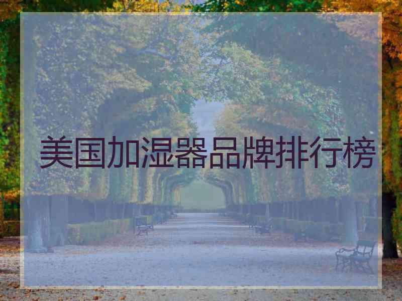 美国加湿器品牌排行榜