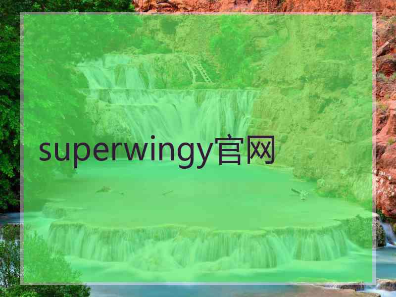 superwingy官网
