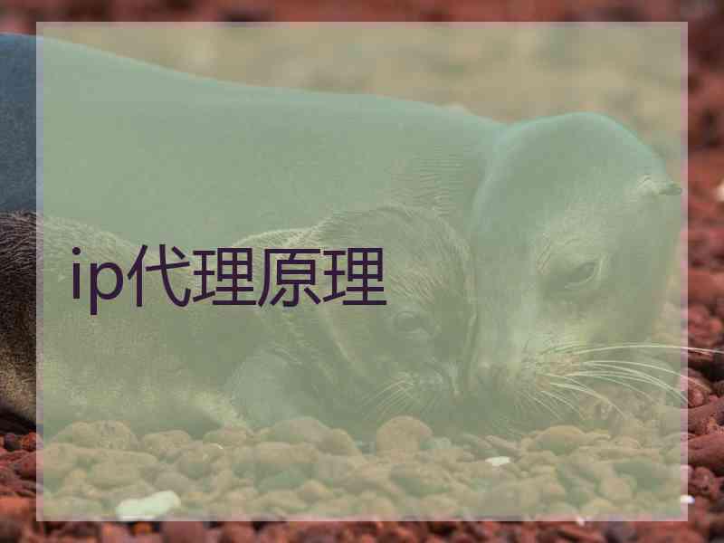 ip代理原理
