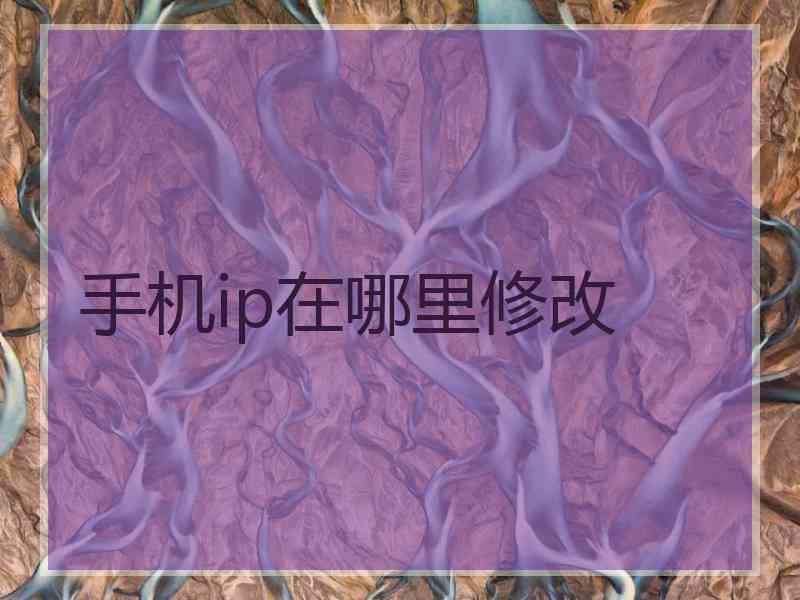 手机ip在哪里修改