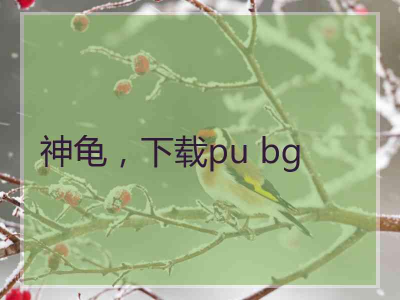 神龟，下载pu bg