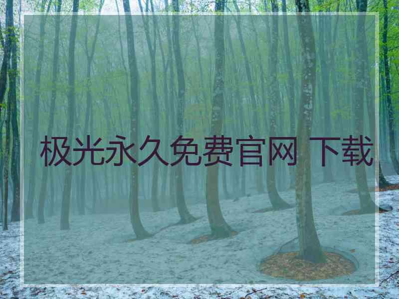 极光永久免费官网 下载