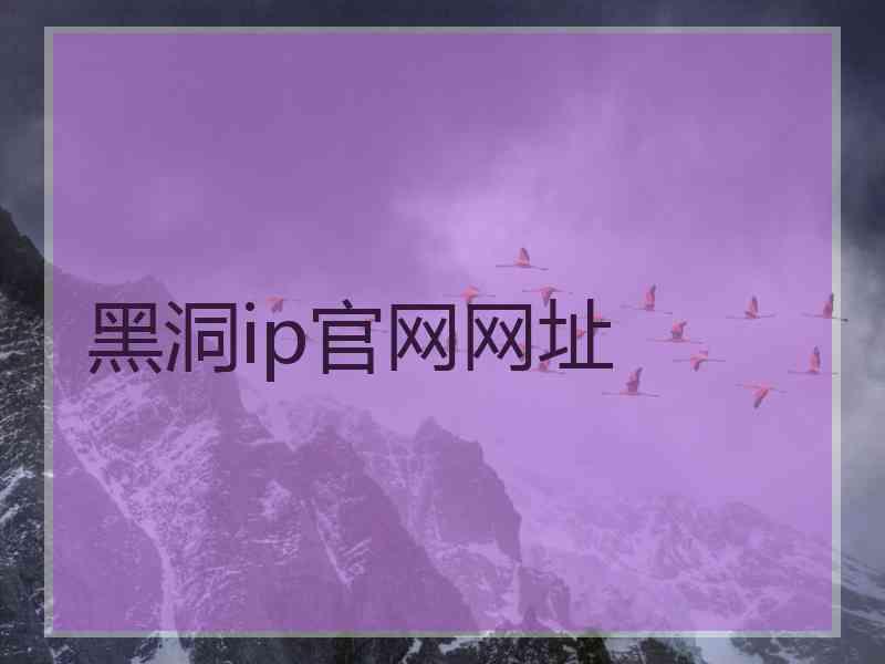 黑洞ip官网网址