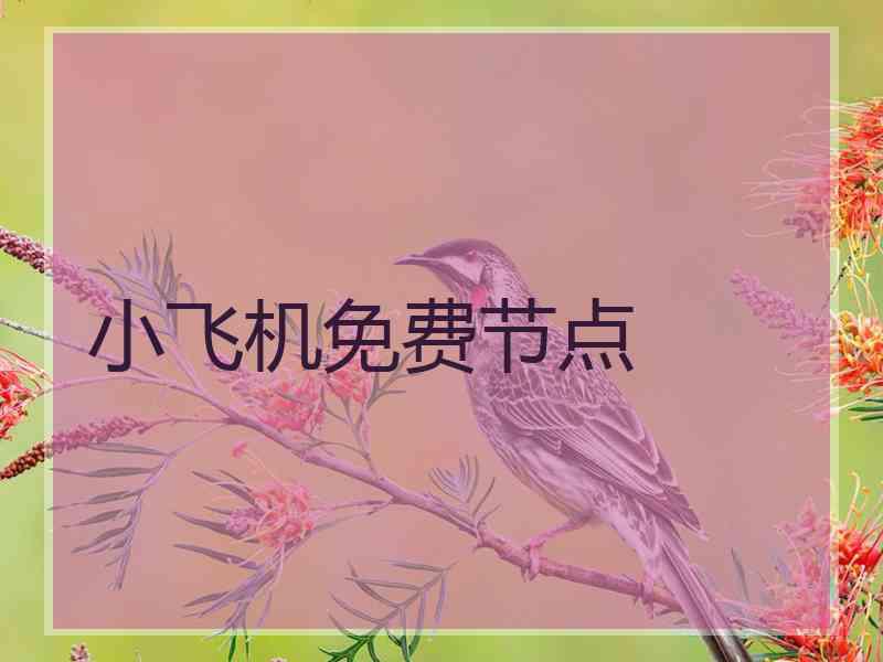 小飞机免费节点