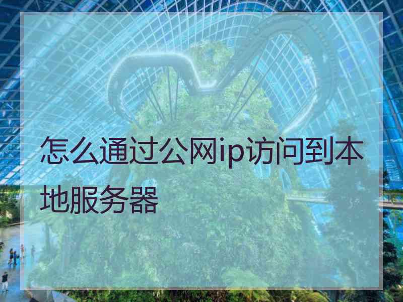 怎么通过公网ip访问到本地服务器