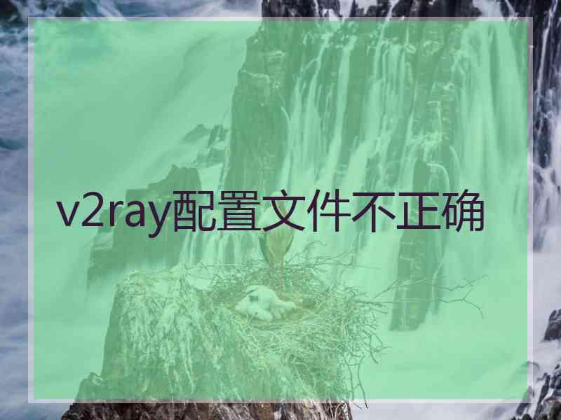 v2ray配置文件不正确
