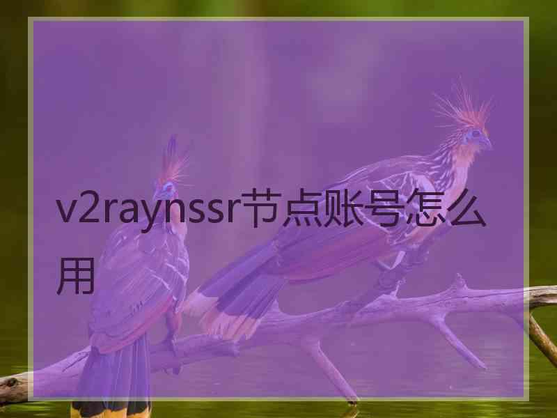 v2raynssr节点账号怎么用