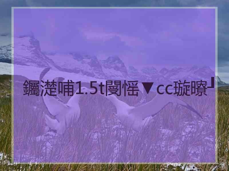 钃濋哺1.5t閿愮▼cc璇曢┚