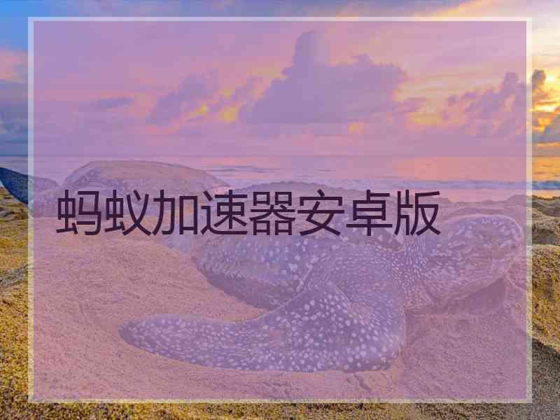 蚂蚁加速器安卓版