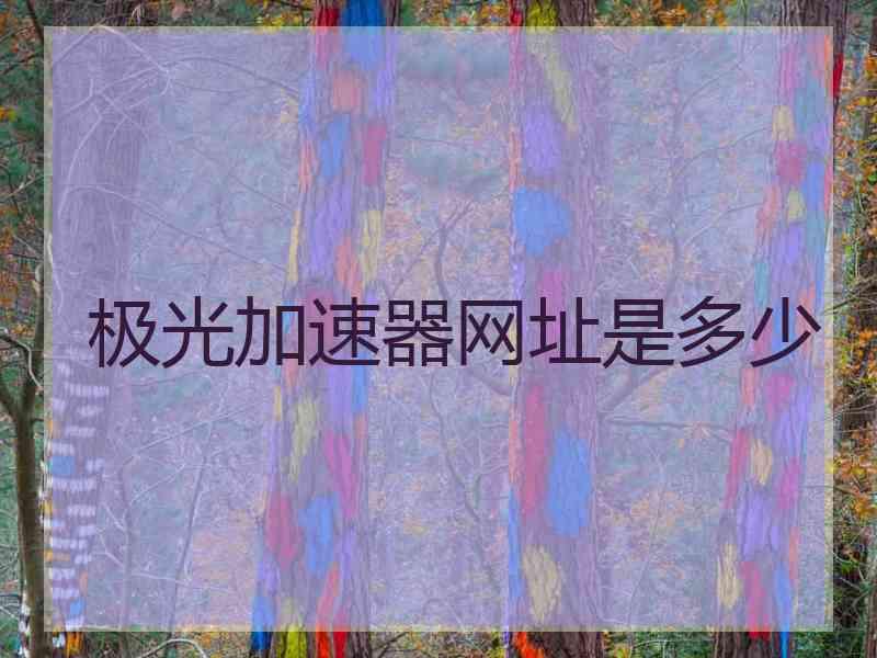 极光加速器网址是多少