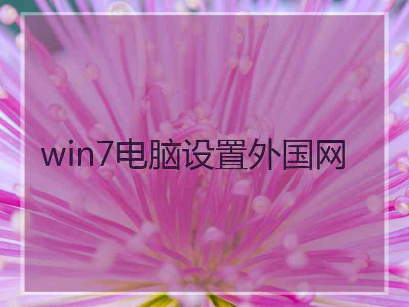win7电脑设置外国网