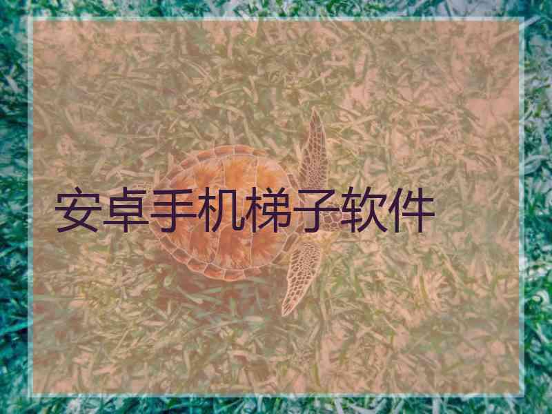 安卓手机梯子软件
