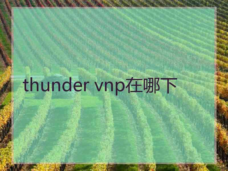thunder vnp在哪下