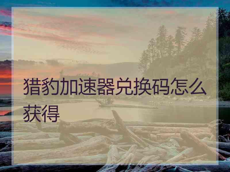 猎豹加速器兑换码怎么获得