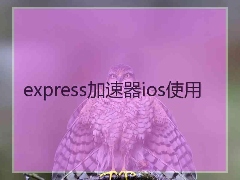 express加速器ios使用