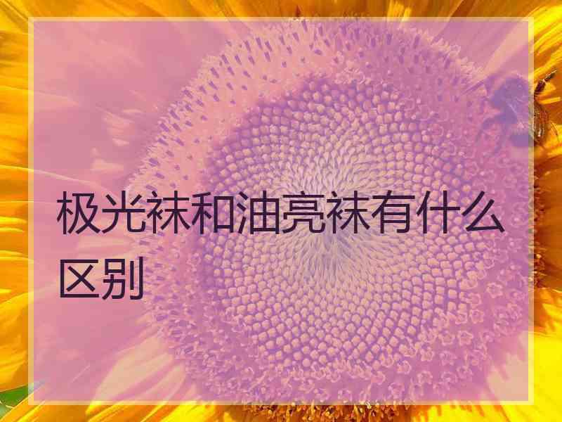 极光袜和油亮袜有什么区别