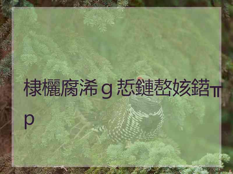 棣欐腐浠ｇ悊鏈嶅姟鍣╥p