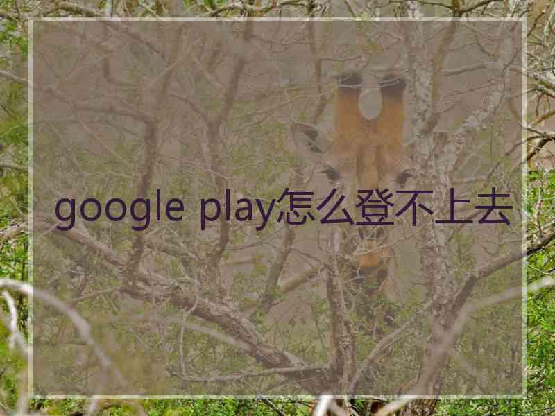 google play怎么登不上去