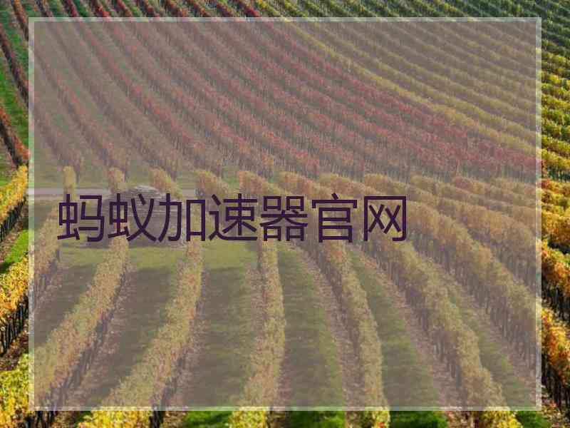蚂蚁加速器官网